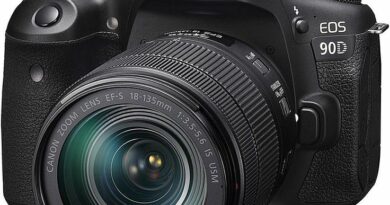 What is the difference between a DSLR and a mirrorless camera?: